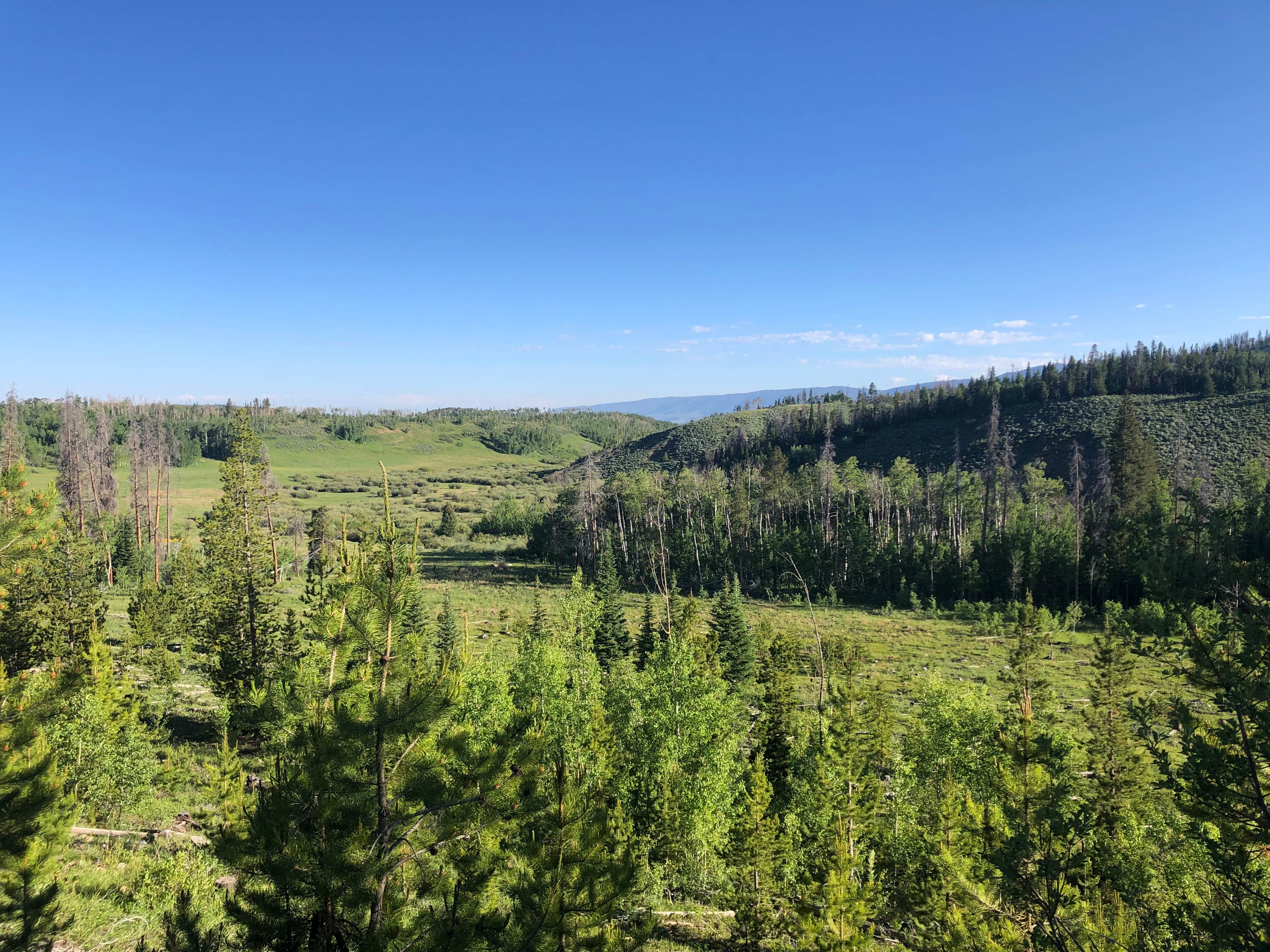 Camping near The Crags Campground — State Forest State Park: Primitive Sites — State Forest State Park, Gould, Colorado