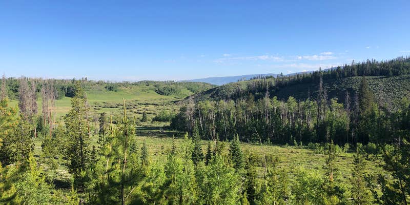 Camper submitted image from Primitive Sites — State Forest State Park