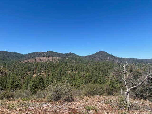 Camper-submitted photo at Enchanted Forest Trail Campsites near Mayer, AZ