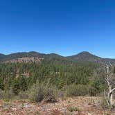 Review photo of Enchanted Forest Trail Campsites by Michael F., June 16, 2025