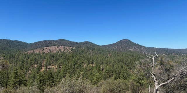 Camper submitted image from Enchanted Forest Trail Campsites