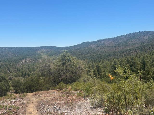 Camper-submitted photo at Enchanted Forest Trail Campsites near Mayer, AZ