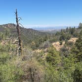 Review photo of Enchanted Forest Trail Campsites by Michael F., June 16, 2025