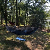 Review photo of Toronto Point — Cross Timbers State Park by Jeremy D., July 27, 2019