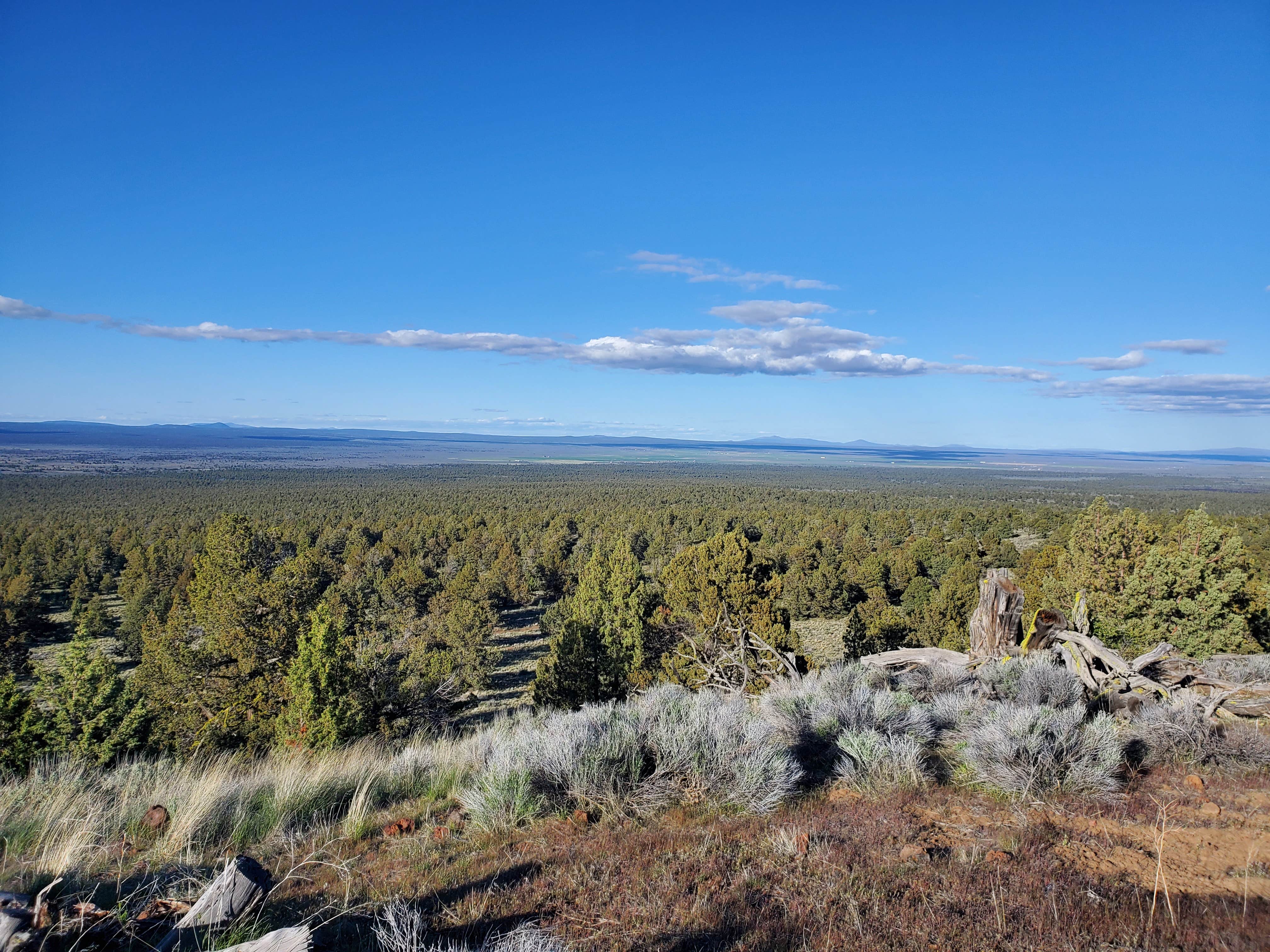 Camper-submitted photo at Green Mountain Campground near Christmas Valley, OR