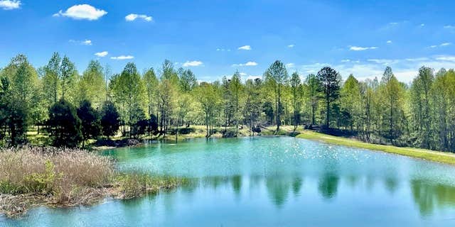 Camper submitted image from Huggins Haven RV Campground