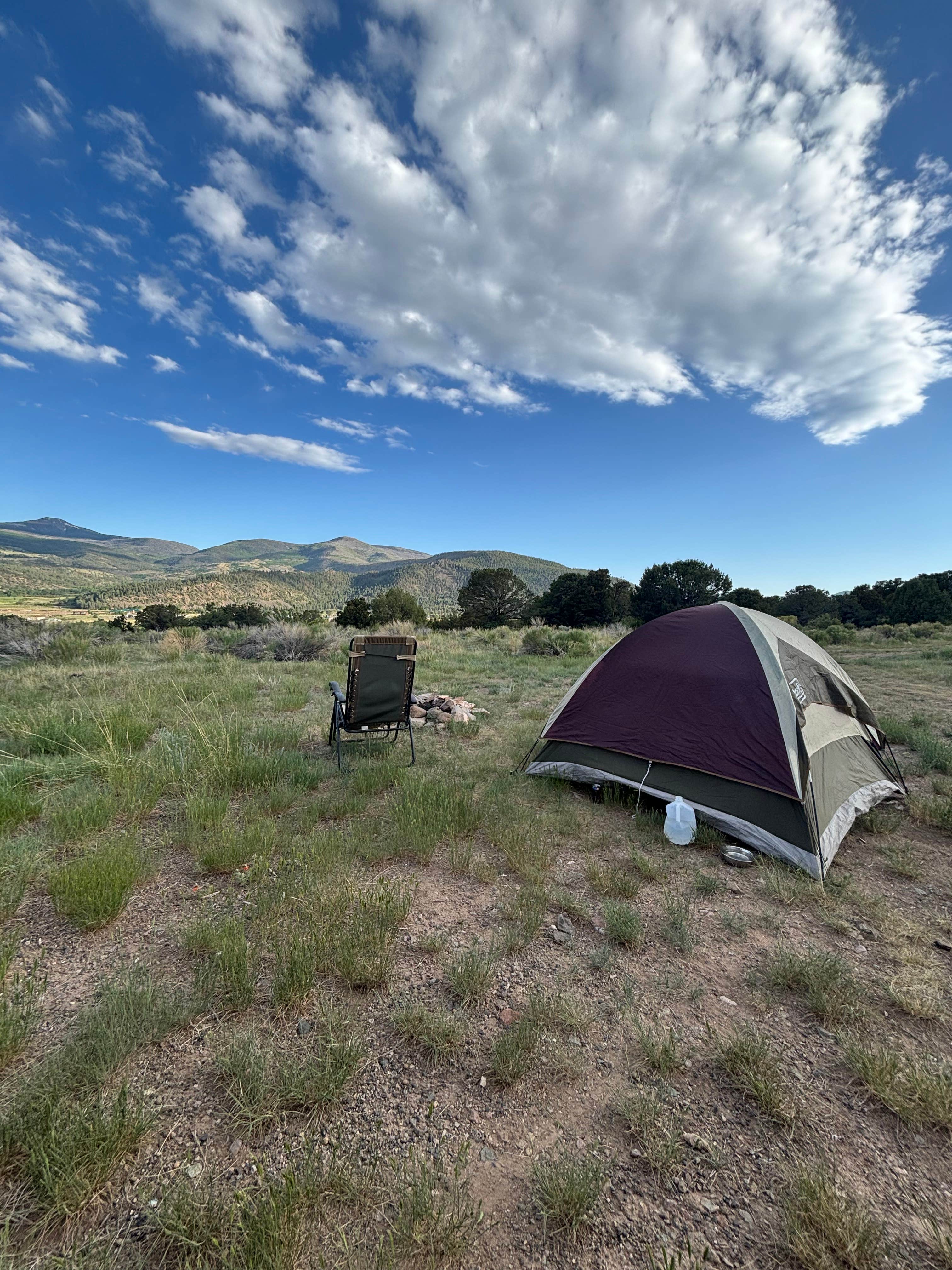Camper-submitted photo at Forest Road 614 near Monte Vista, CO