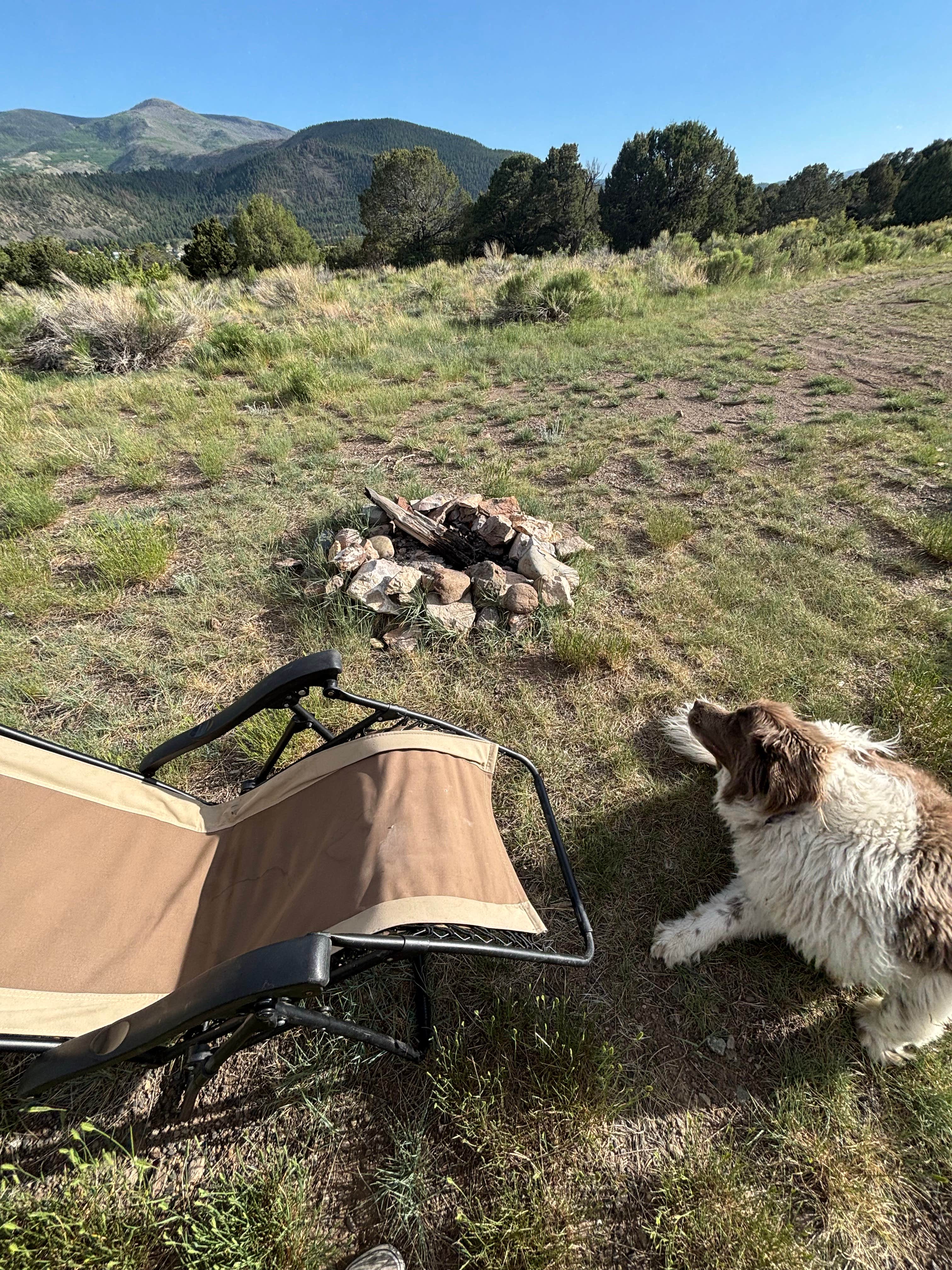 Camper-submitted photo at Forest Road 614 near Monte Vista, CO