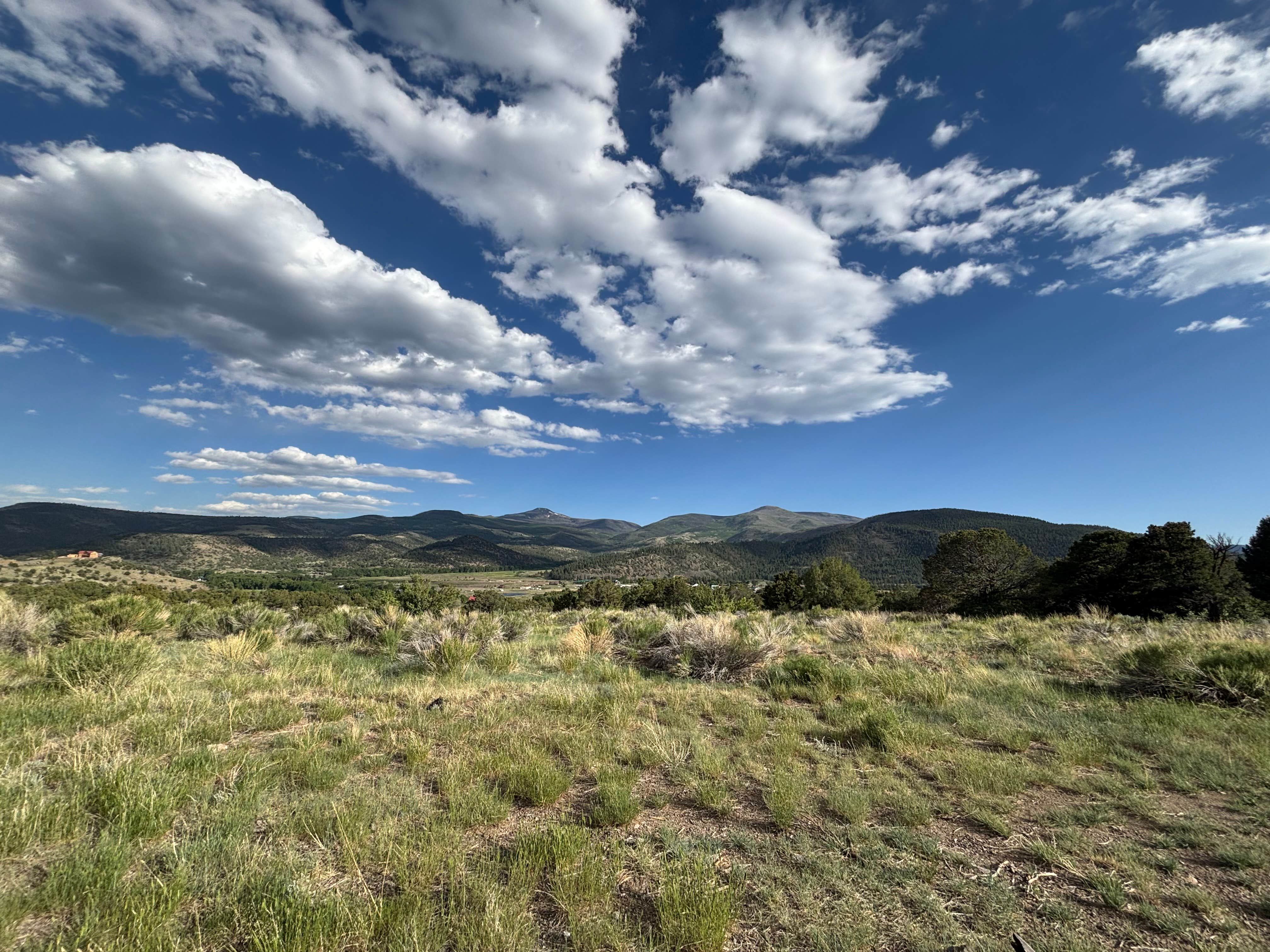 Camper-submitted photo at Forest Road 614 near Monte Vista, CO