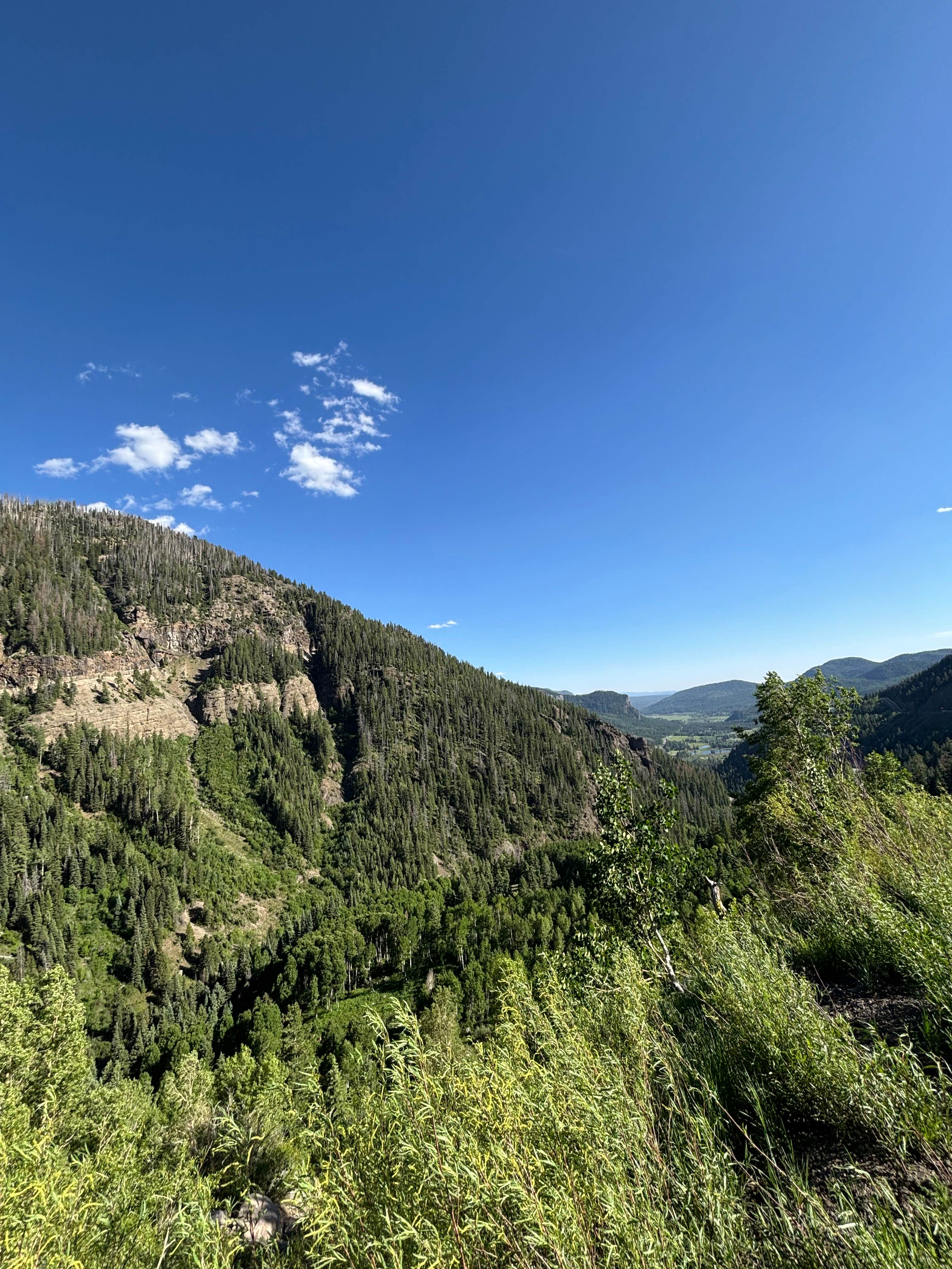 Camper-submitted photo at Forest Road 614 near Monte Vista, CO