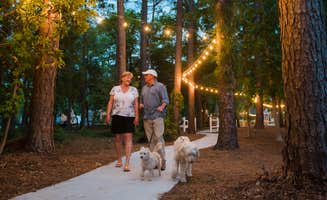 Bonnie D.'s photo of camping with pets at Wilmington KOA Holiday near Burgaw, NC