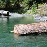 Review photo of Graves Creek Campground — Olympic National Park by Mark A., June 17, 2025