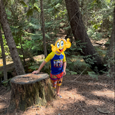 Review photo of North Fork Chewelah Creek by Naomi C., June 17, 2025