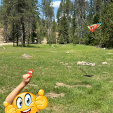 Review photo of North Fork Chewelah Creek by Naomi C., June 17, 2025