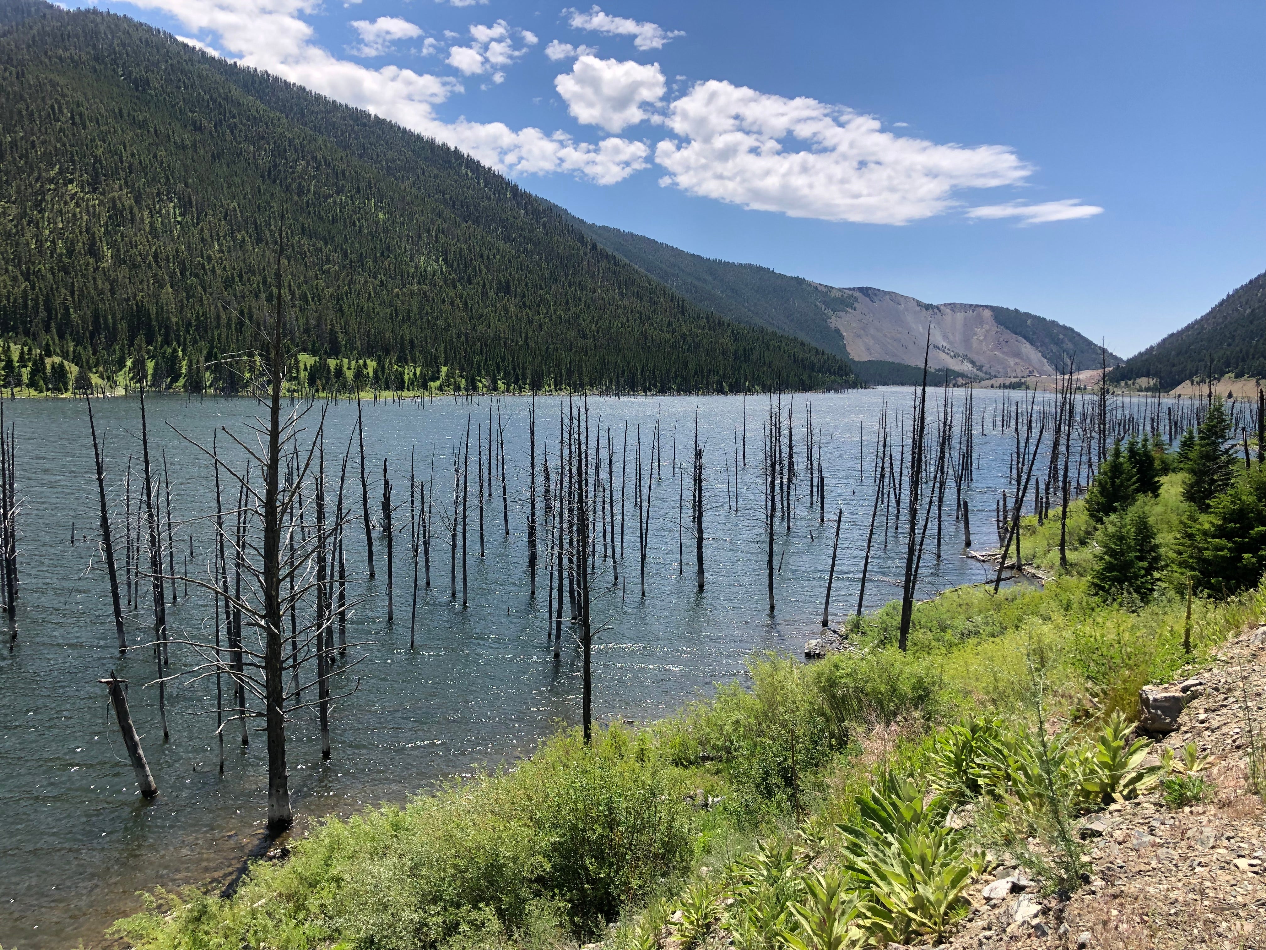 Earthquake Lake is a short drive from the campground and the history is both fascinating and tragic