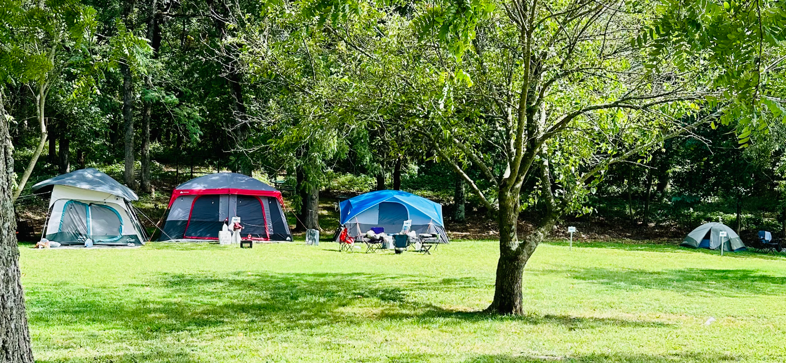 Camper submitted image from Ballard's Campground - 4