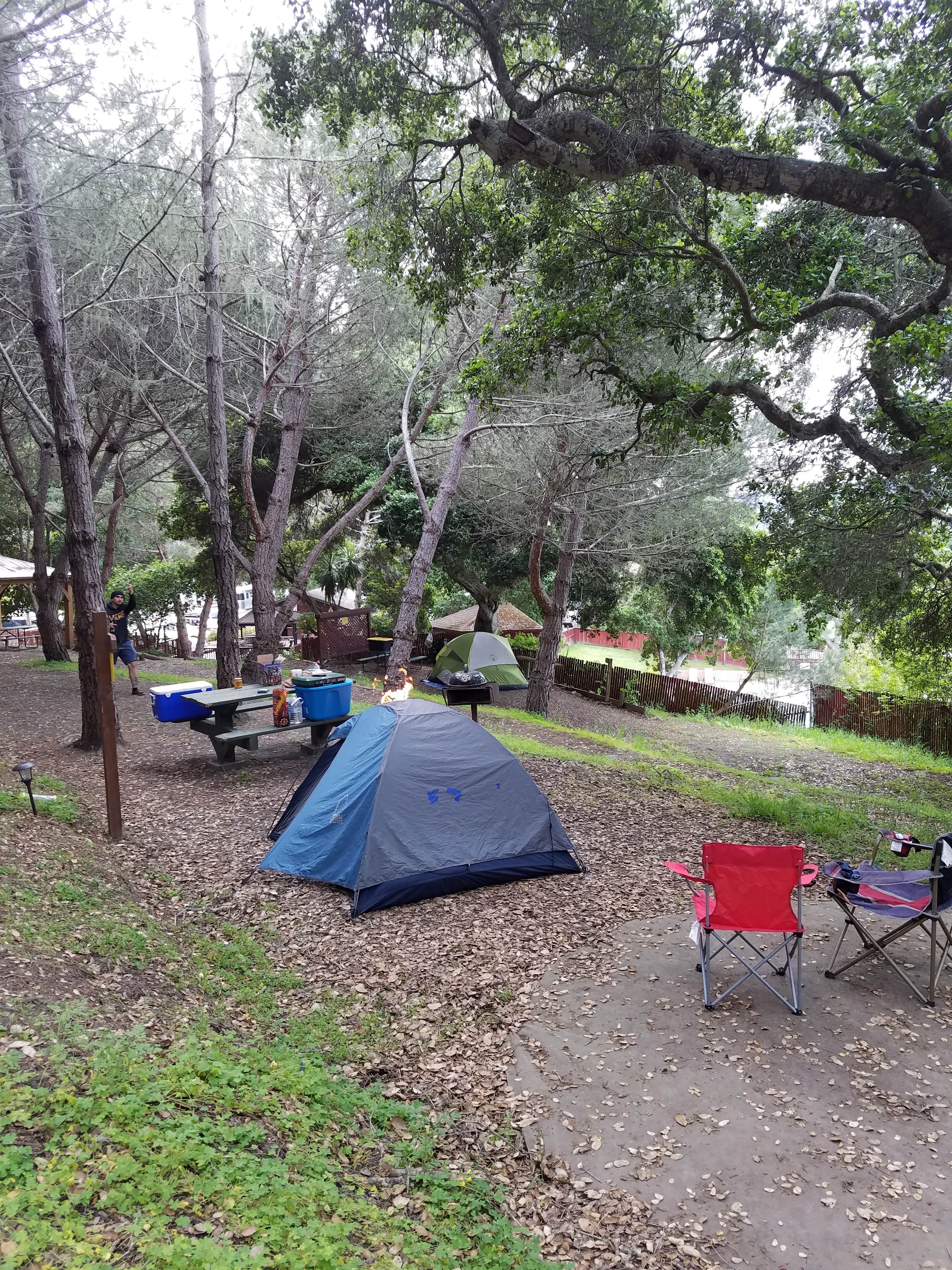 Mike M.'s photo at Saddle Mountain near Big Sur, CA