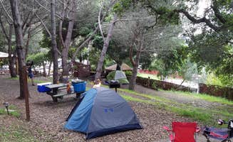 Mike M.'s photo at Saddle Mountain near Big Sur, CA