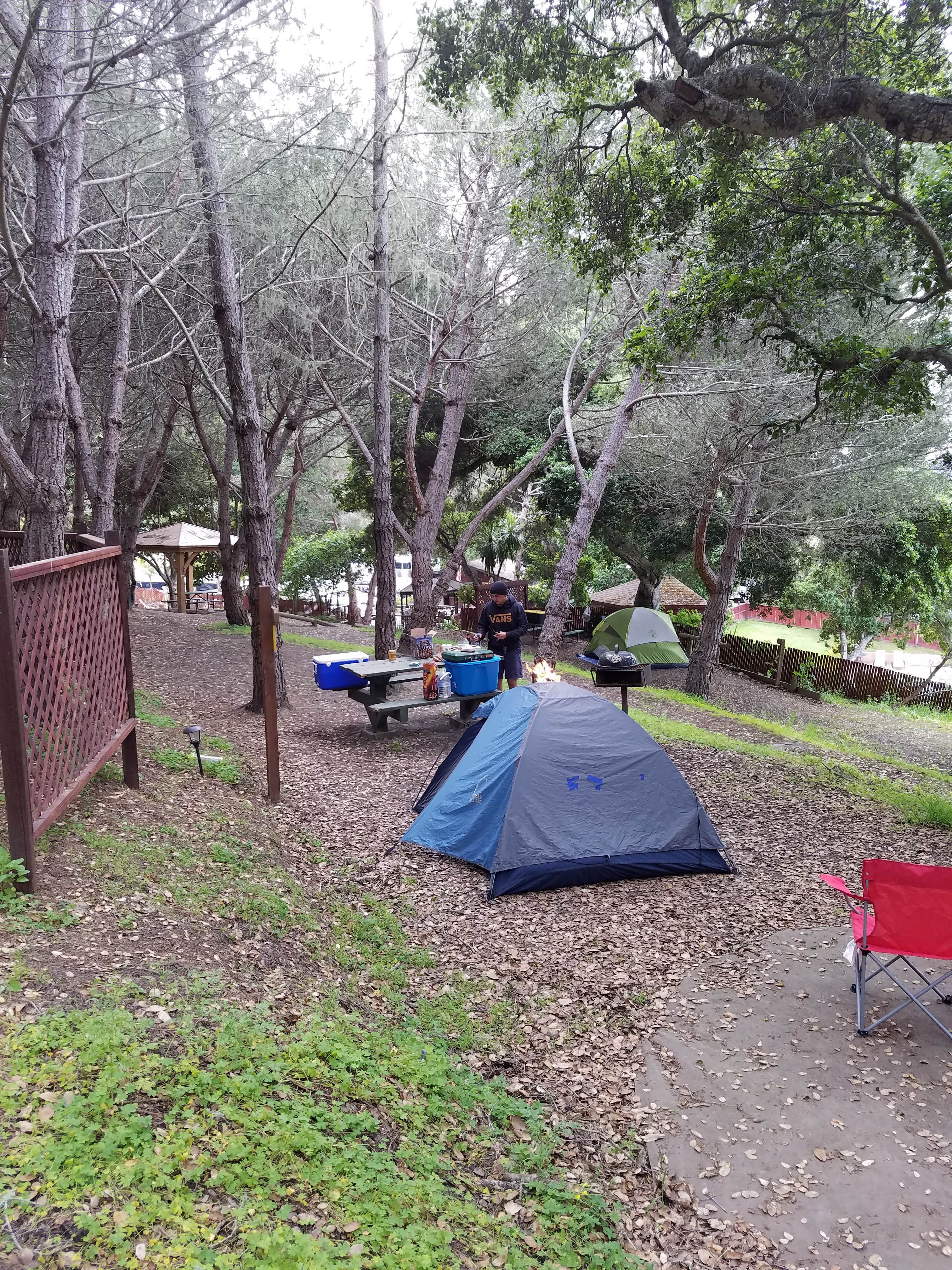 Mike M.'s photo at Saddle Mountain near Monterey, CA