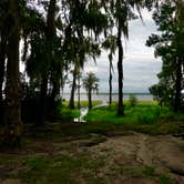 Review photo of Osceola National Forest Hog Pen Landing Campground by Christopher  B., July 28, 2019