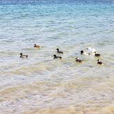 Review photo of Lake Mohave - Nevada Telephone Cove — Lake Mead National Recreation Area by Mike M., June 18, 2025