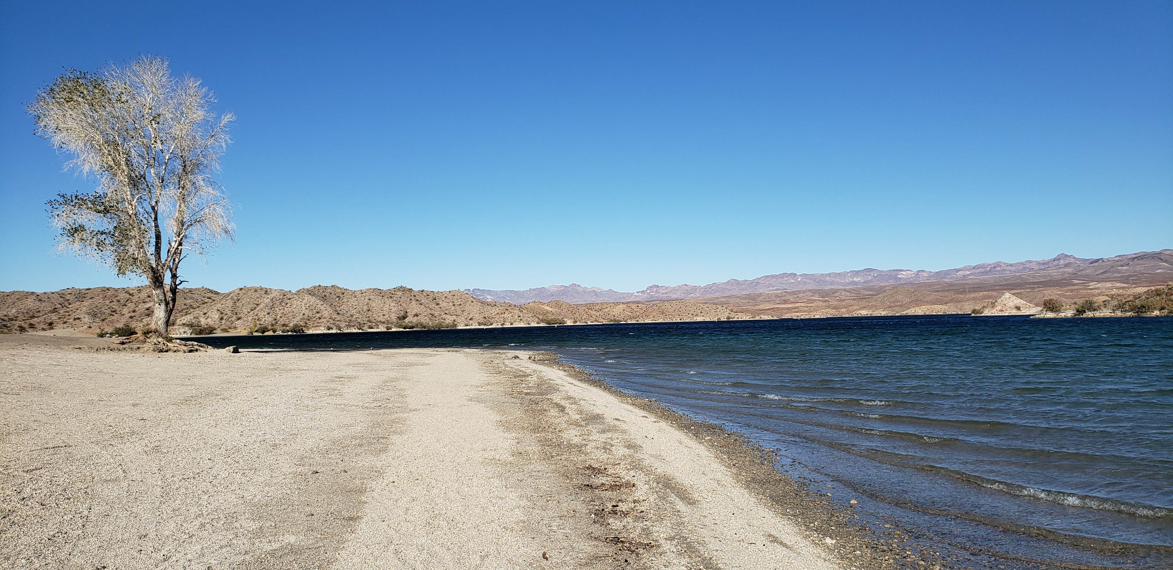 Mike M.'s photo of a dispersed camping area at Lake Mohave - Nevada Telephone Cove — Lake Mead National Recreation Area near Mohave Valley, AZ