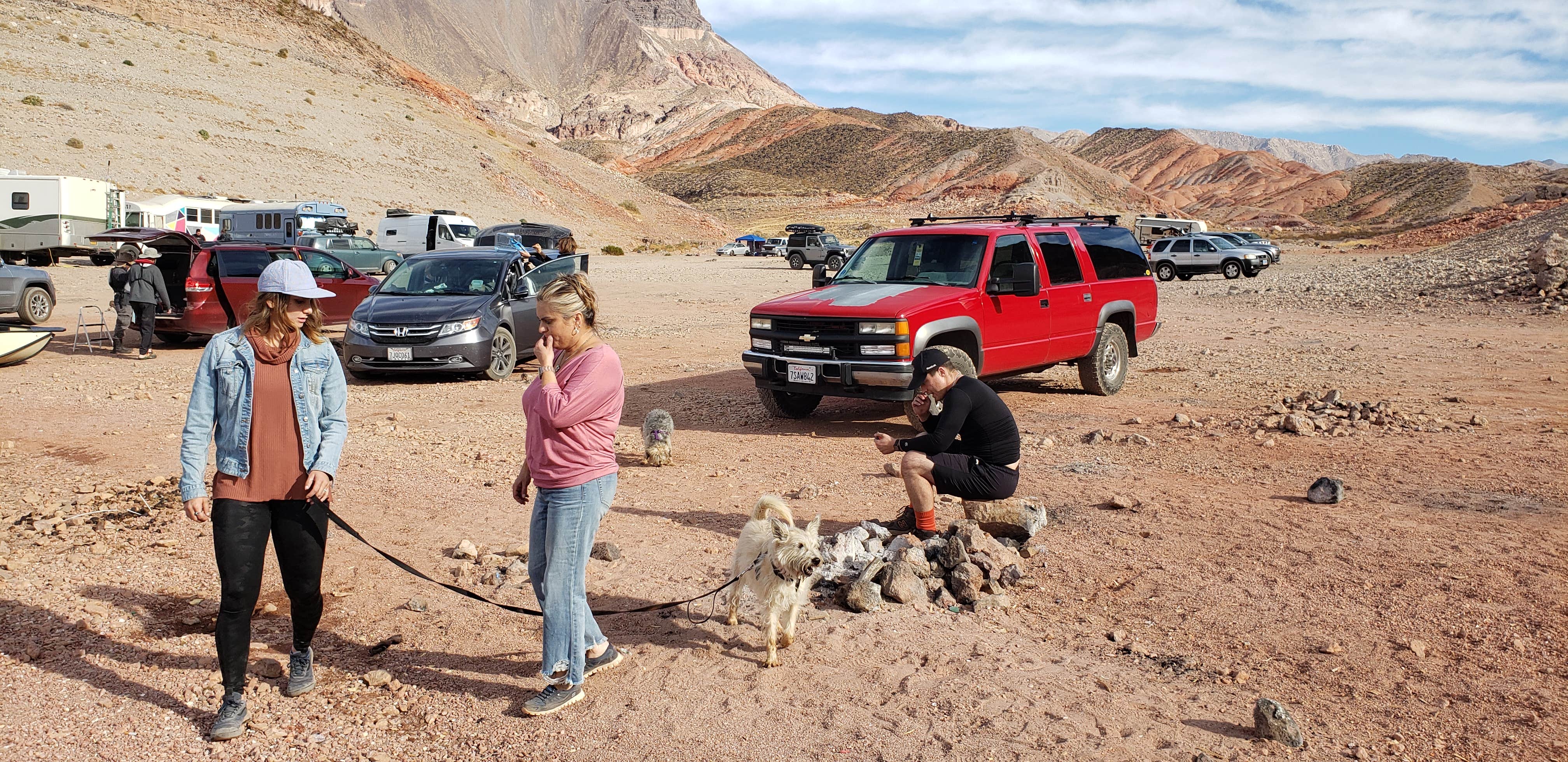 Mike M.'s photo of camping with pets at Kingman Wash — Lake Mead National Recreation Area near Dolan Springs, AZ