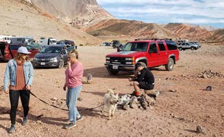 Mike M.'s photo of camping with pets at Kingman Wash — Lake Mead National Recreation Area near Temple Bar Marina, AZ