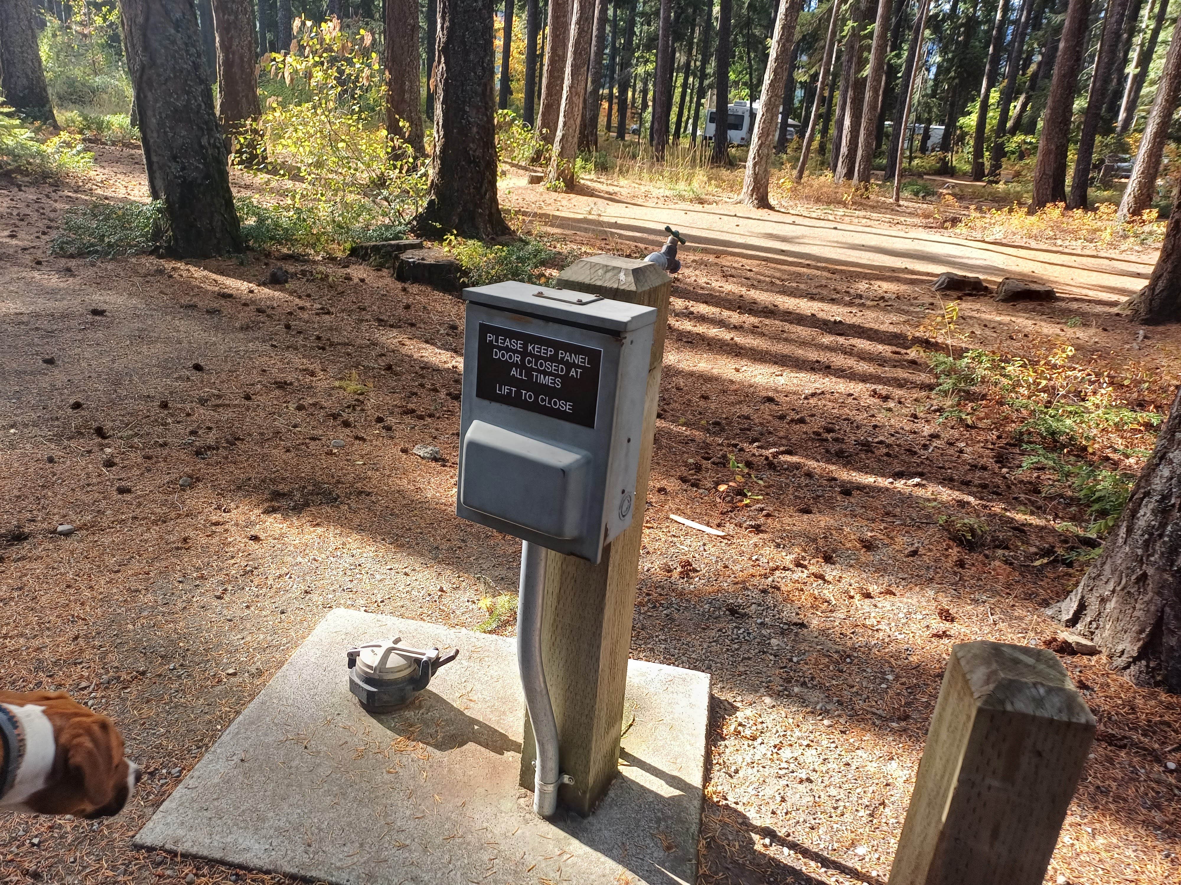 Laura M.'s photo of camping with pets at Lake Easton State Park Campground near Okanogan-Wenatchee National Forest