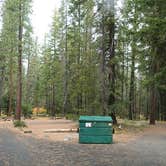 Review photo of Nason Creek Campground by Laura M., June 18, 2025