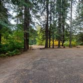 Review photo of Nason Creek Campground by Laura M., June 18, 2025