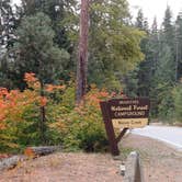 Review photo of Nason Creek Campground by Laura M., June 18, 2025