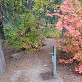 Review photo of Nason Creek Campground by Laura M., June 18, 2025
