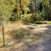 Review photo of Liberty Recreation Site by Laura M., June 19, 2025