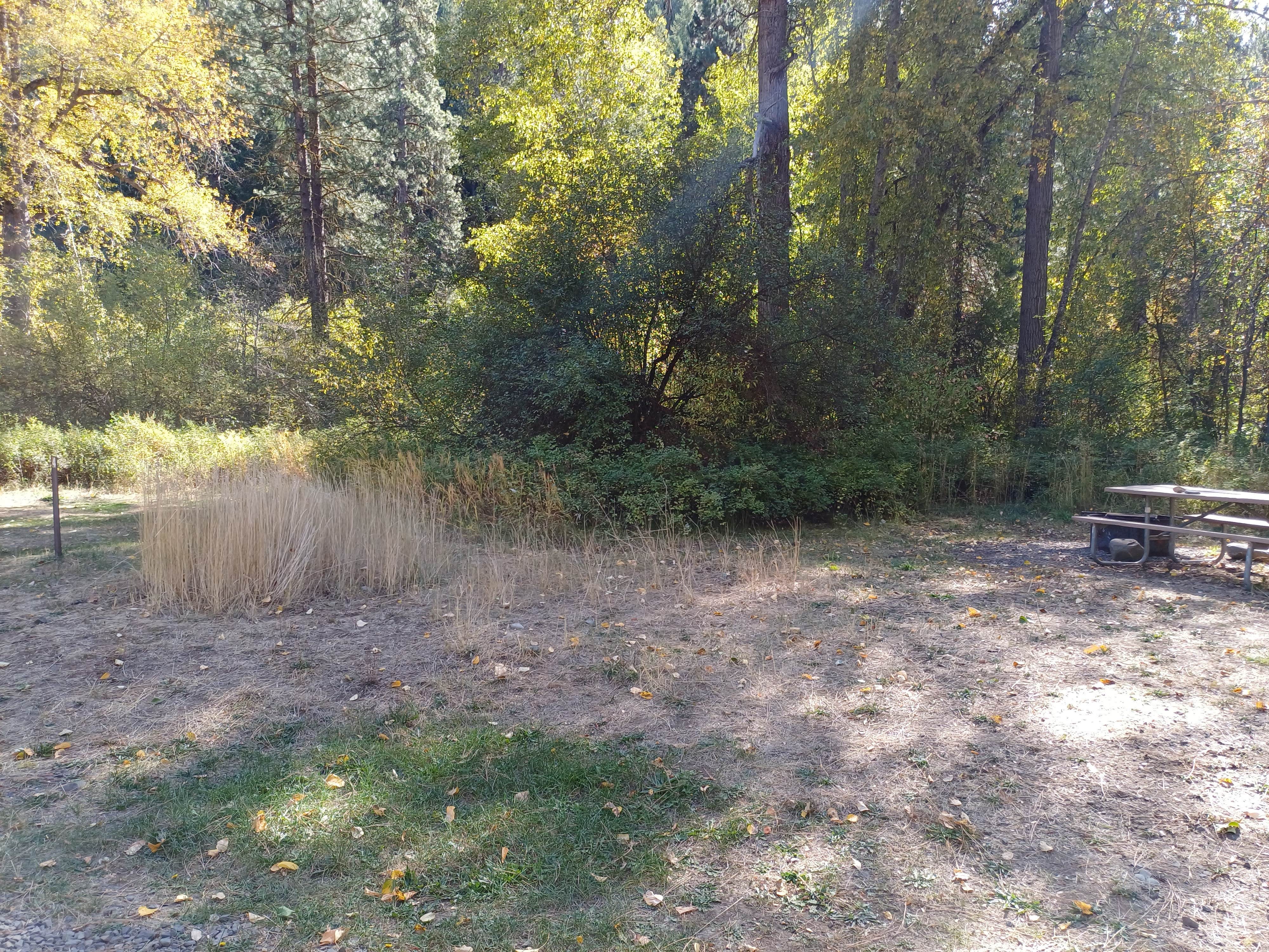 Camper-submitted photo at Liberty Recreation Site near Thorp, WA