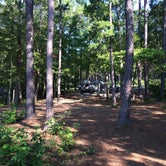 Review photo of Whitetail Ridge Campground by Tony C., July 28, 2019