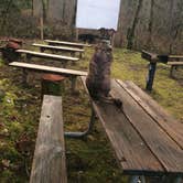 Review photo of Ainsworth State Park Campground by Sarah S., December 15, 2014