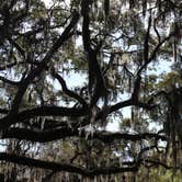 Review photo of Skidaway Island State Park Campground by Annie C., September 22, 2016