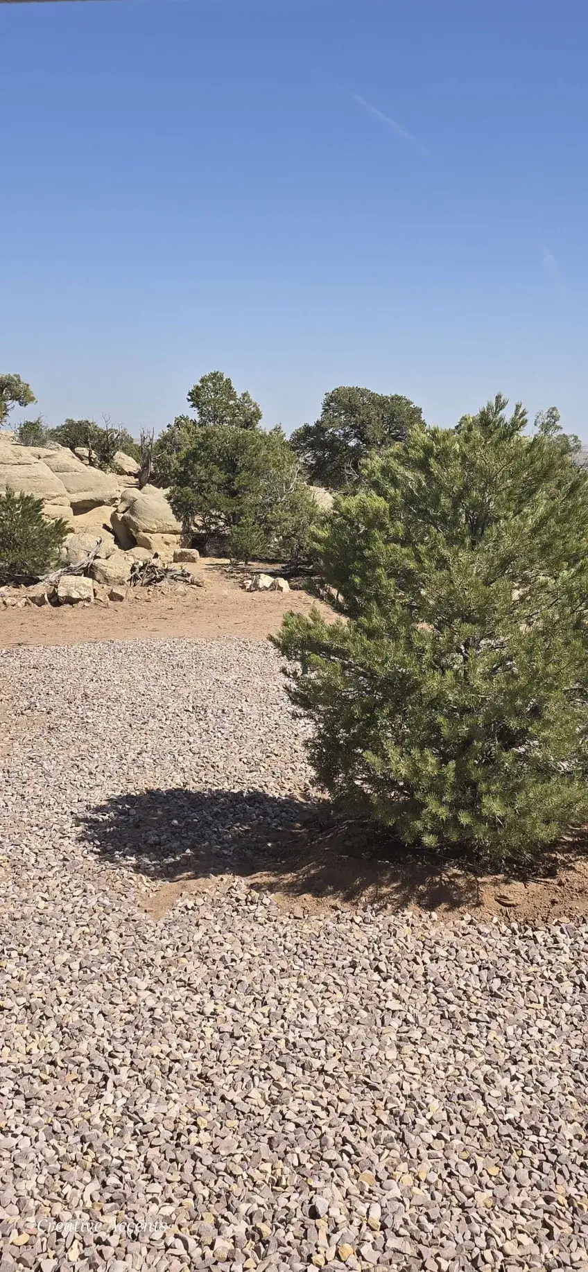 Camper-submitted photo at Wild Wolf Ridge near Mountain Home, UT