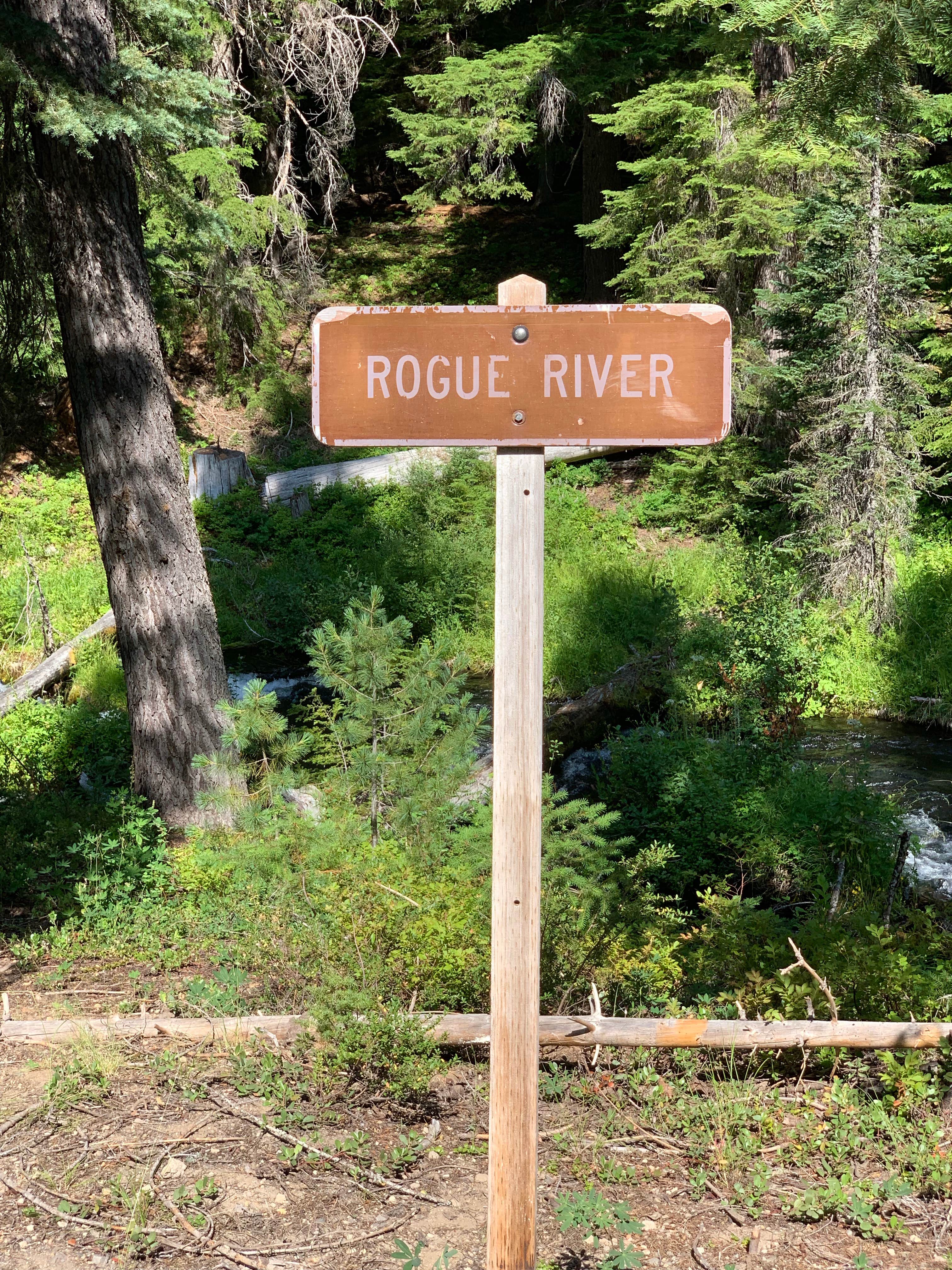 Signs & Maps