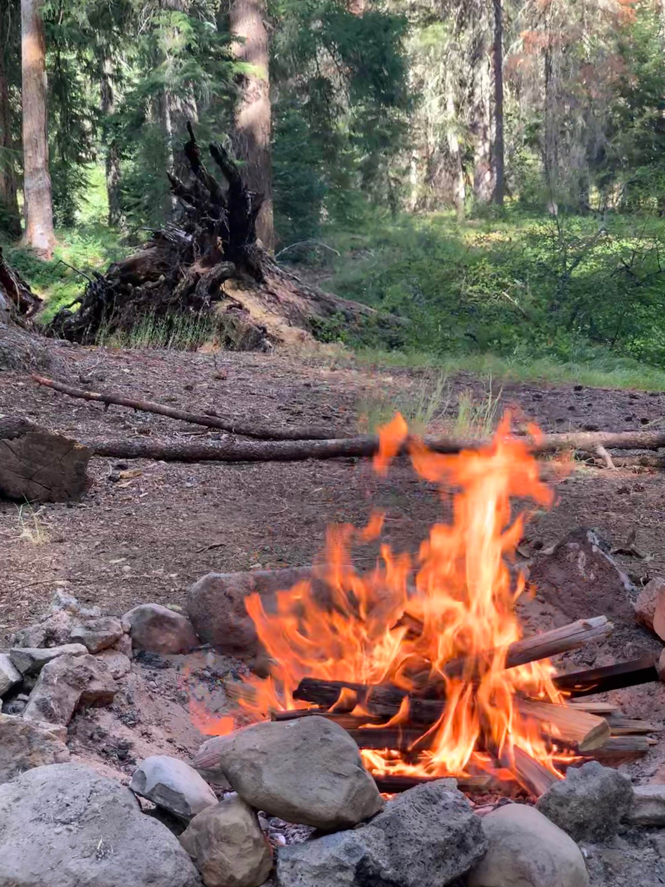 Campsites