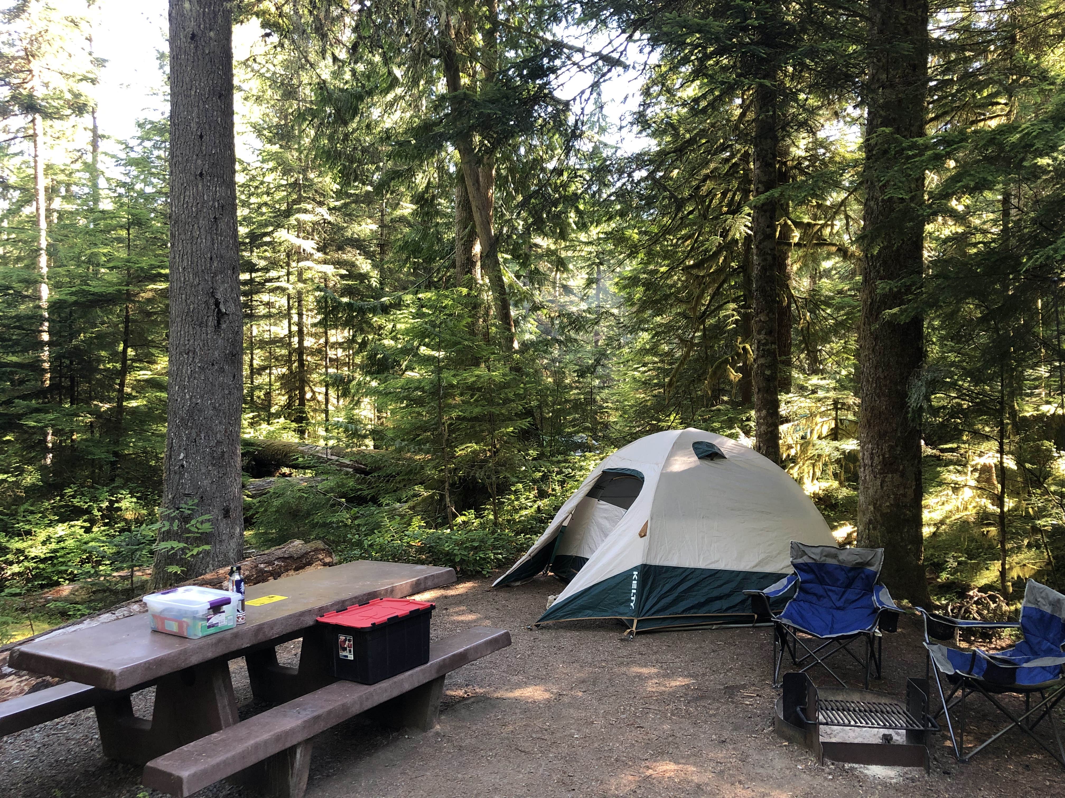 Camper-submitted photo at Heart O' the Hills Campground — Olympic National Park near Sequim, WA