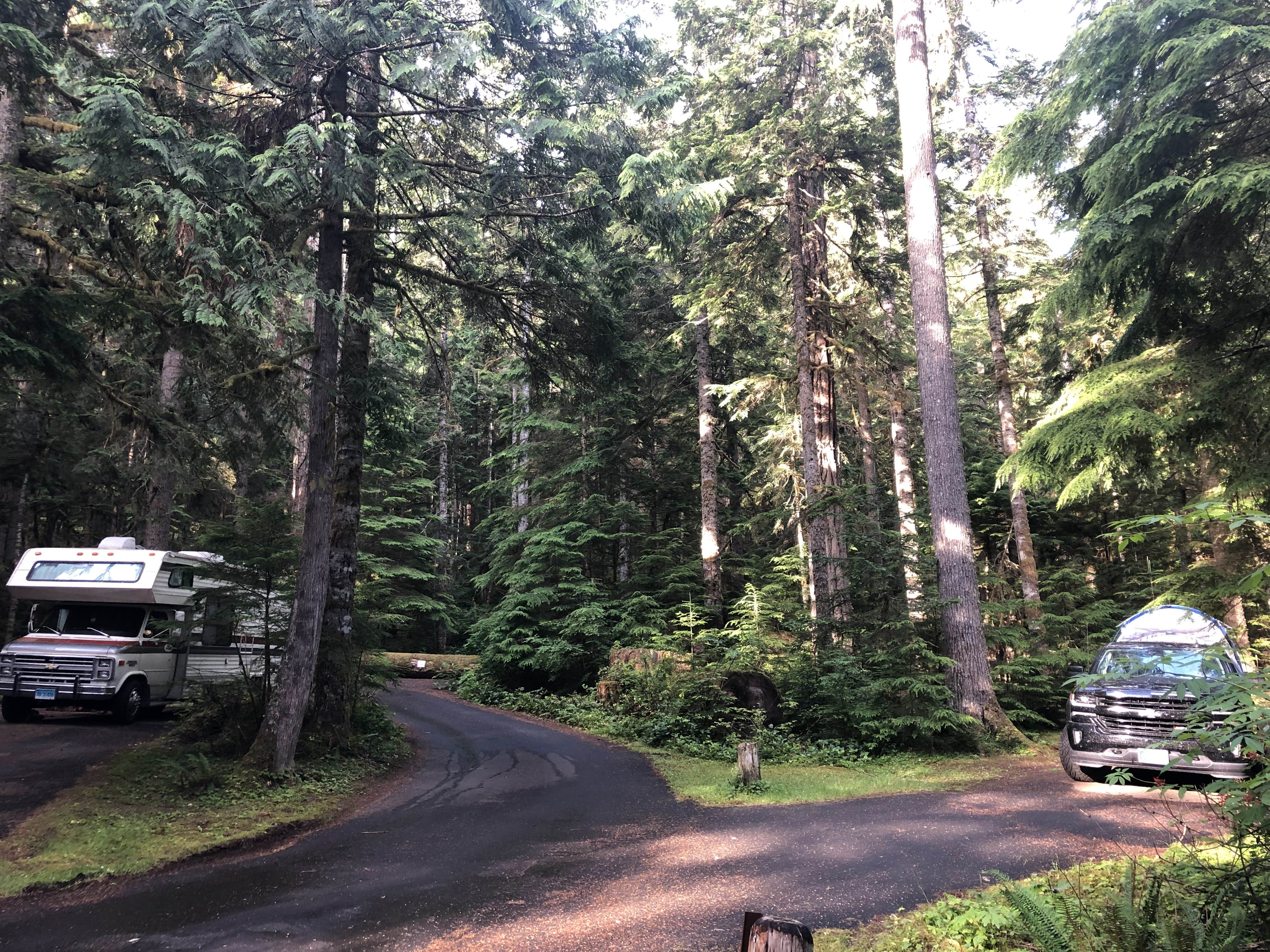 Camper-submitted photo at Heart O' the Hills Campground — Olympic National Park near Sequim, WA