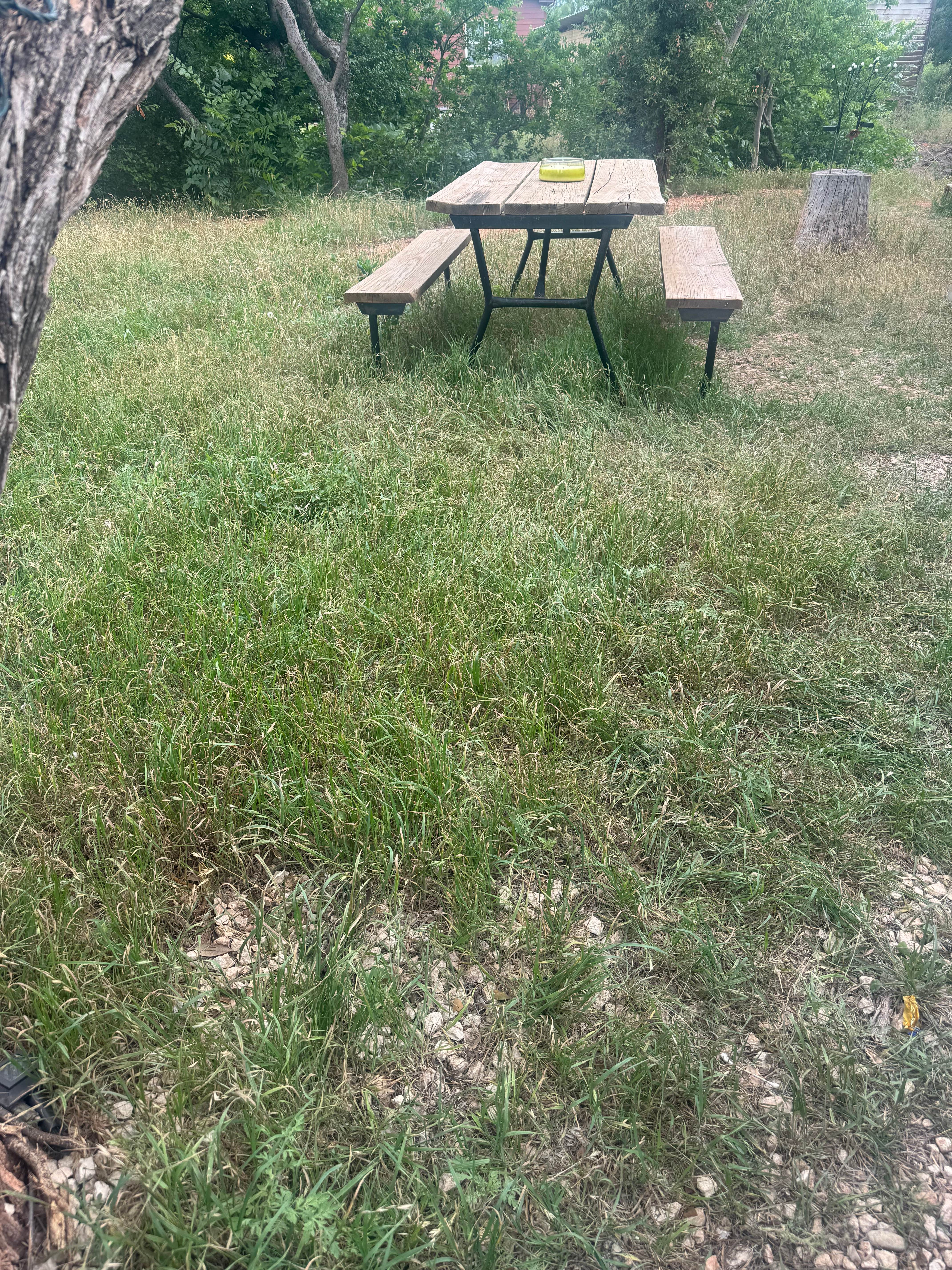 Camper-submitted photo at Abilene KOA near Cisco, TX