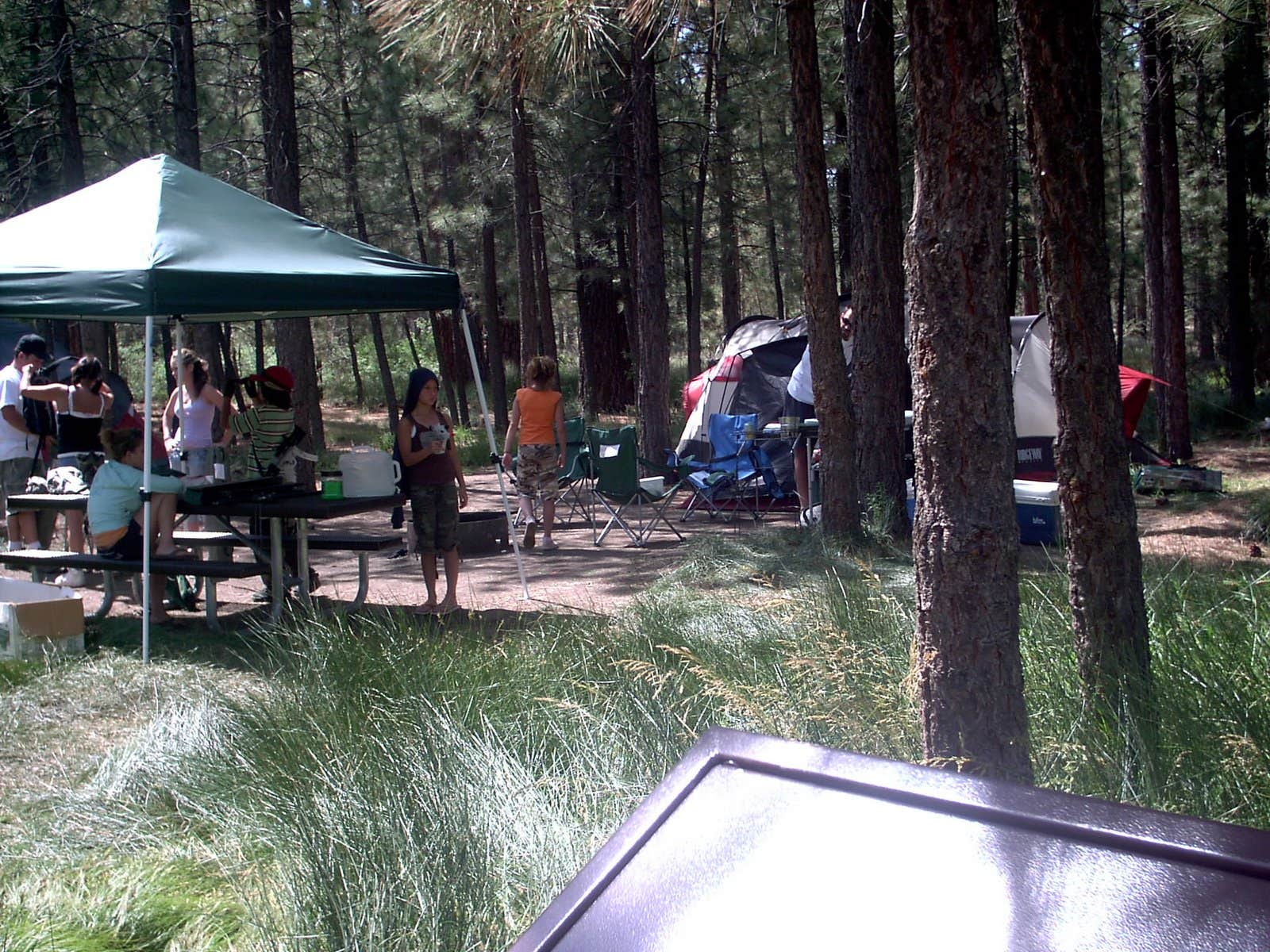 Mike M.'s photo of tent camping at Big Pine Flat Campground near Running Springs, CA
