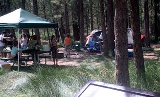 Mike M.'s photo of tent camping at Big Pine Flat Campground near Yermo, CA