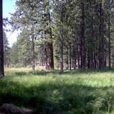 Review photo of Big Pine Flat Campground by Mike M., June 2, 2025