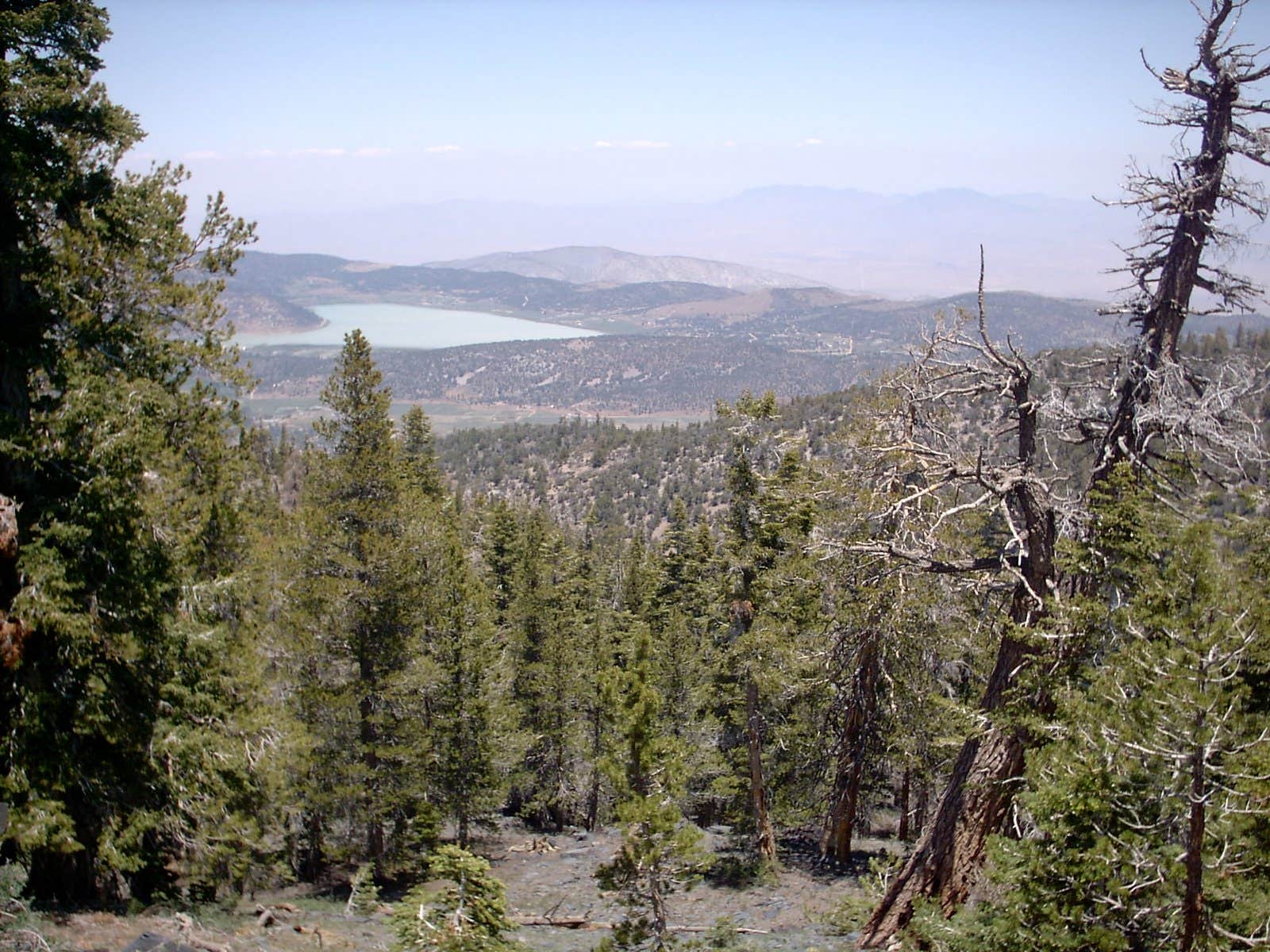 Camper-submitted photo at Yellow Post #54 near Big Bear Lake, CA