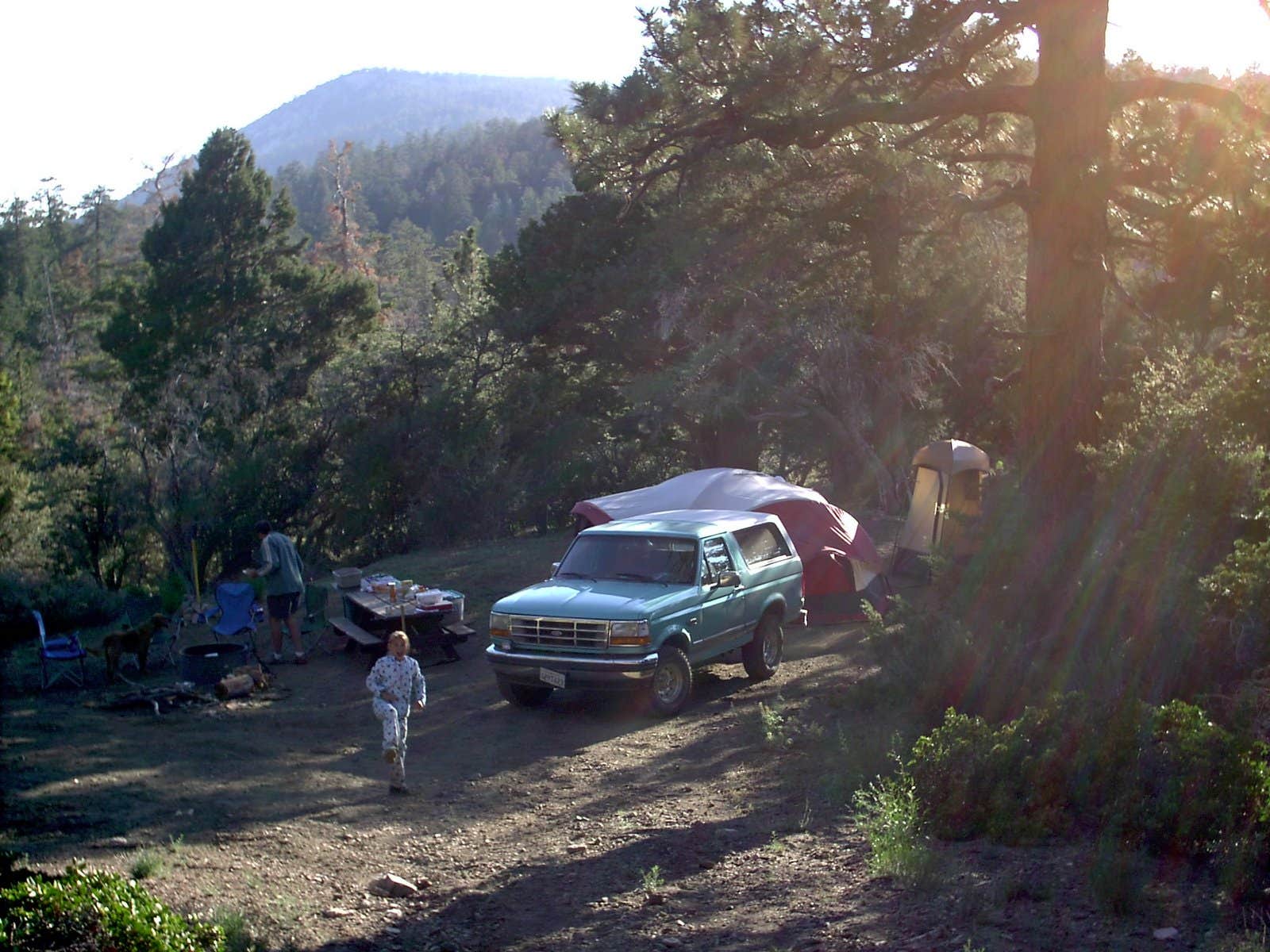 Mike M.'s photo of tent camping at Yellow Post #54 near Running Springs, CA