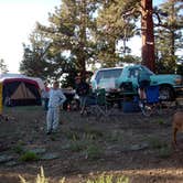 Review photo of Yellow Post #54 by Mike M., June 19, 2025